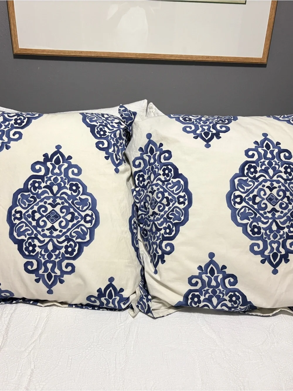 Pottery Barn Organic Cotton Euro Shams (Set of 2)